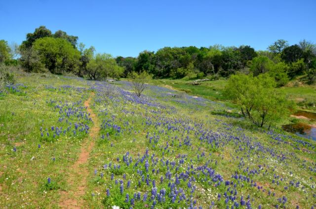 Willow Loop valley 18