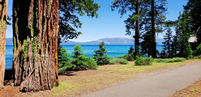 Sugar Pine Point walk 12