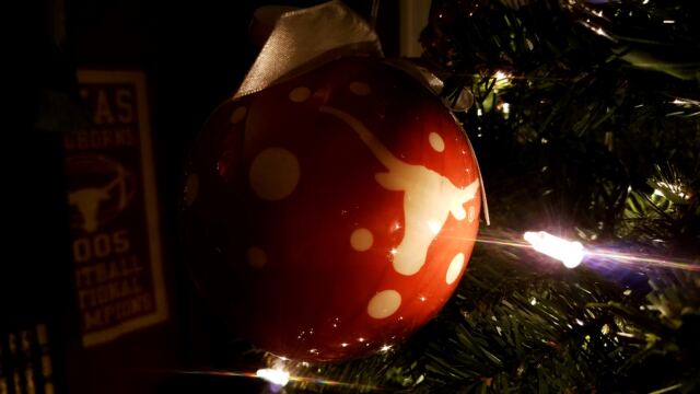 Longhorn-tree-04