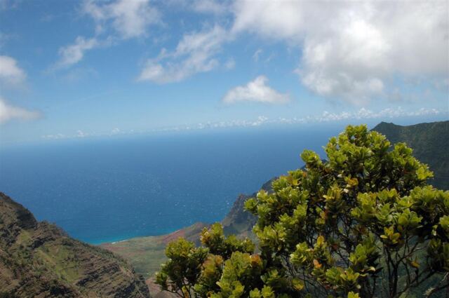 Kalalau Valley (29)