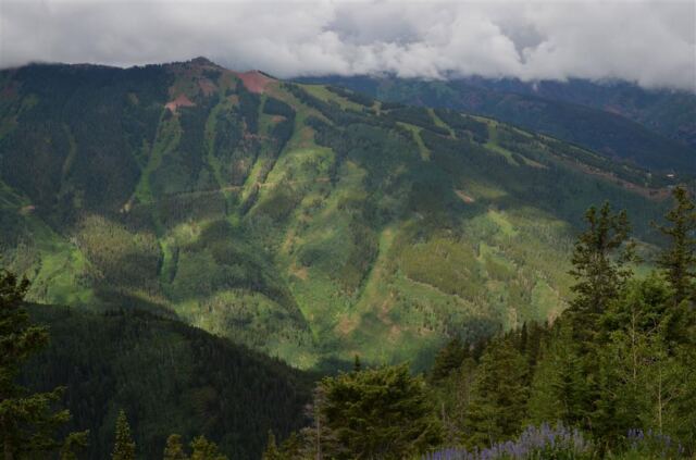 Looking at ski trails