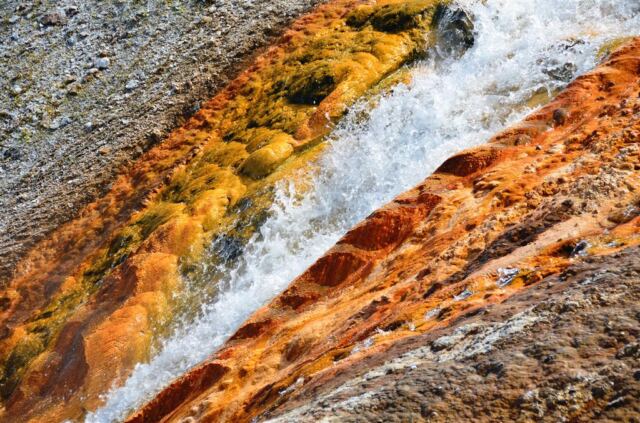 Excelsior Geyser runoff stream (5)