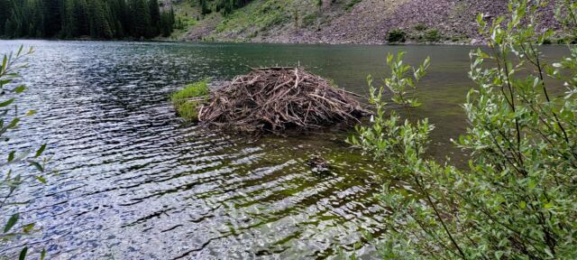 Maroon Lake Beaver Lodge 2