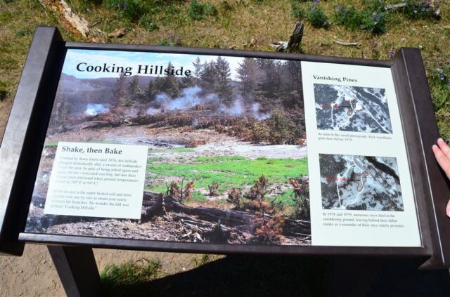 Cooking hillside sign