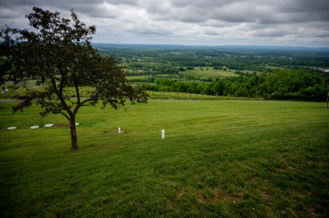 Dirt Farm Brewery views 3
