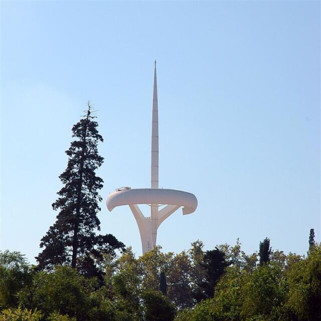 Cell phone tower above the trees