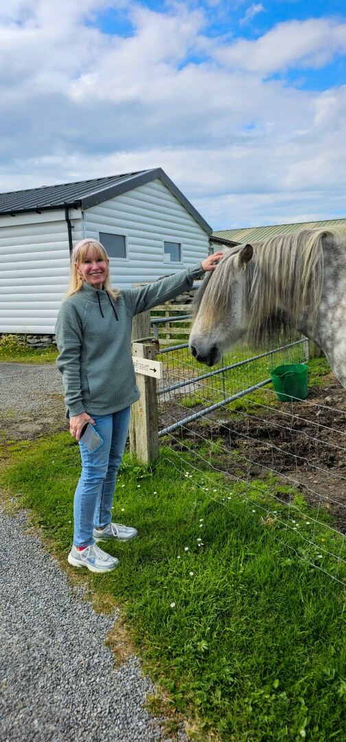 The Shetland Pony Experience 16