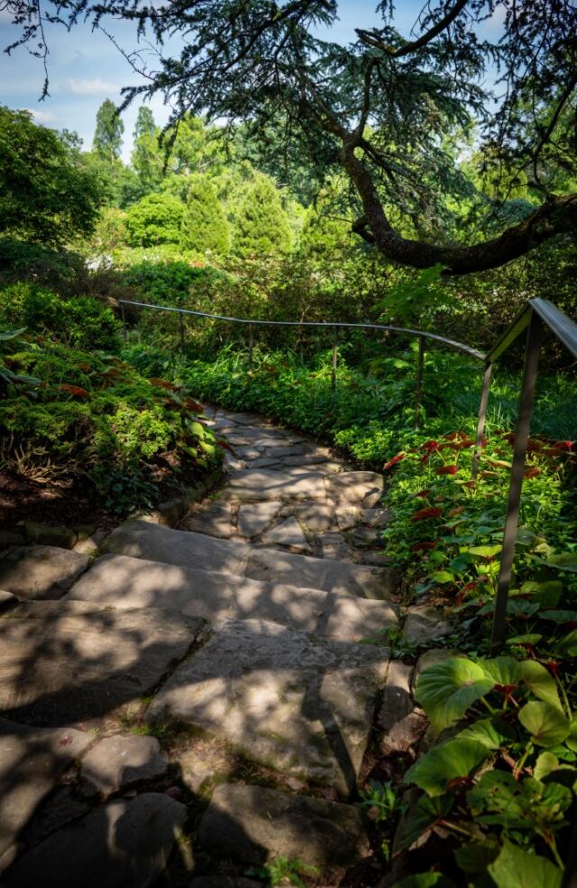 Bishop's Garden 05