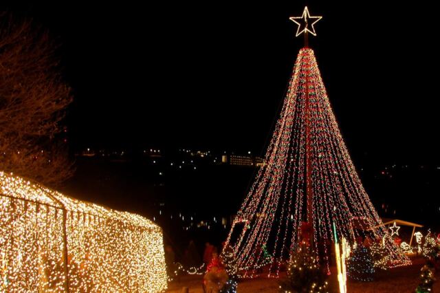 tunnel-of-lights-and-tree