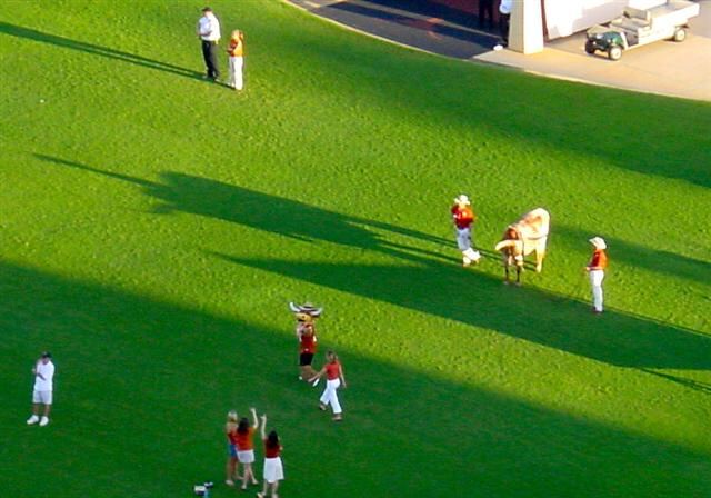 Bevo casts a big shadow