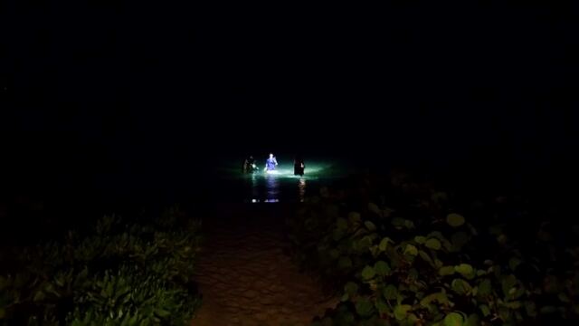 Night snorkeling 5