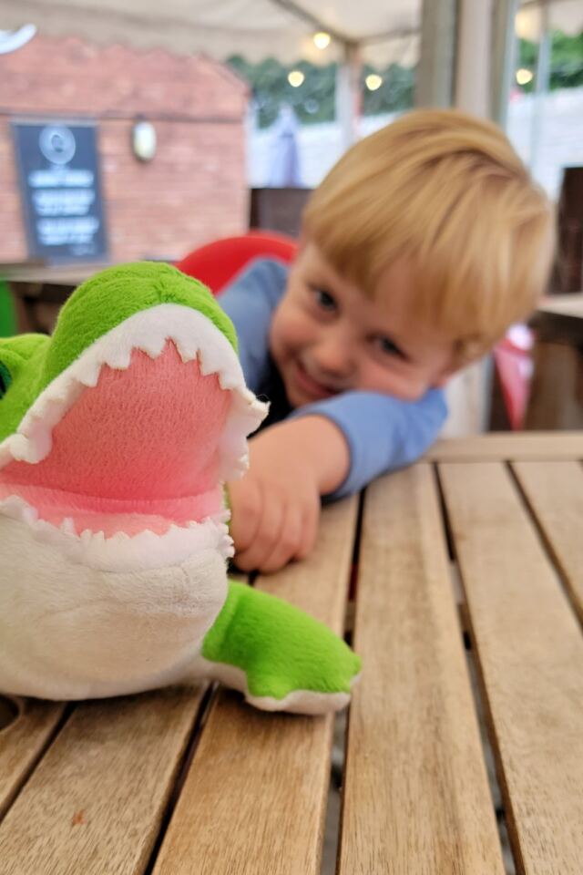 Henry and Croc (1)
