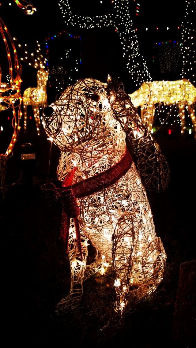 Outdoor-decorations-07
