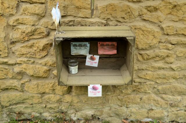 Ebrington eggs for sale (2)