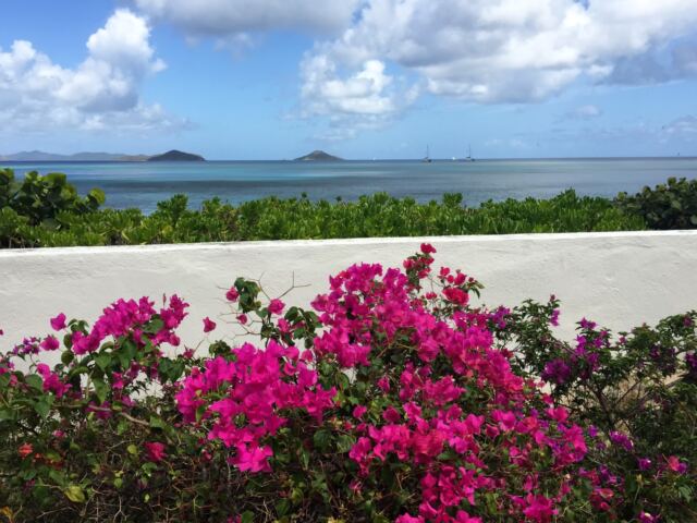 Mahoe Bay and Villa flowers