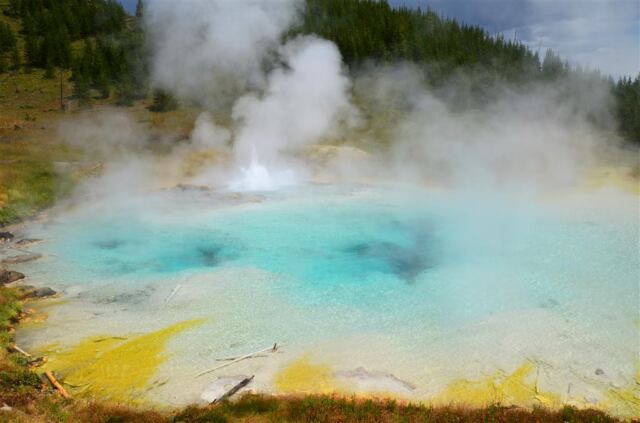 Imperial Geyser (9)
