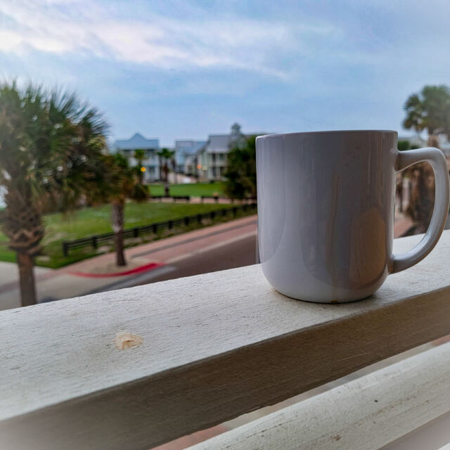 Morning view