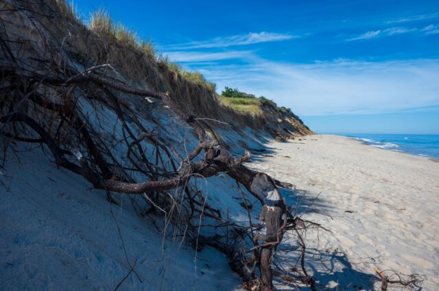 Coast Guard Beach 03