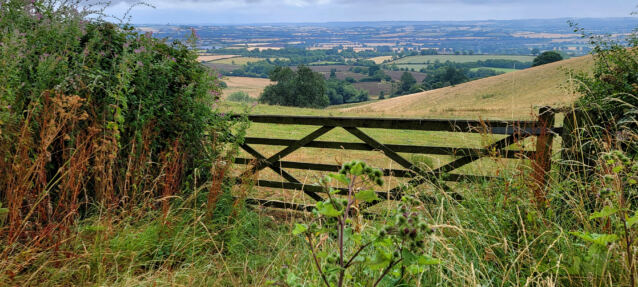 Cotswold views from Foxcote Hill (08)