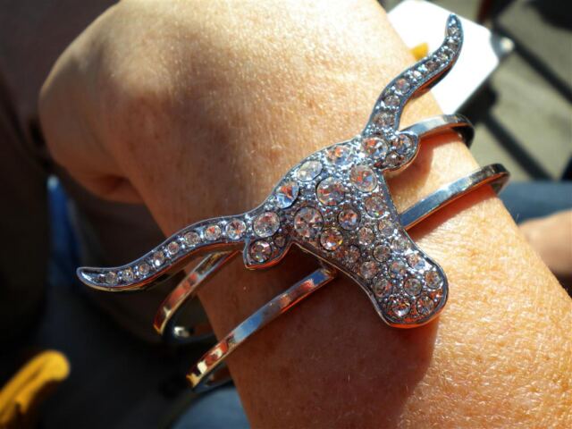 Kathy's Longhorn bling