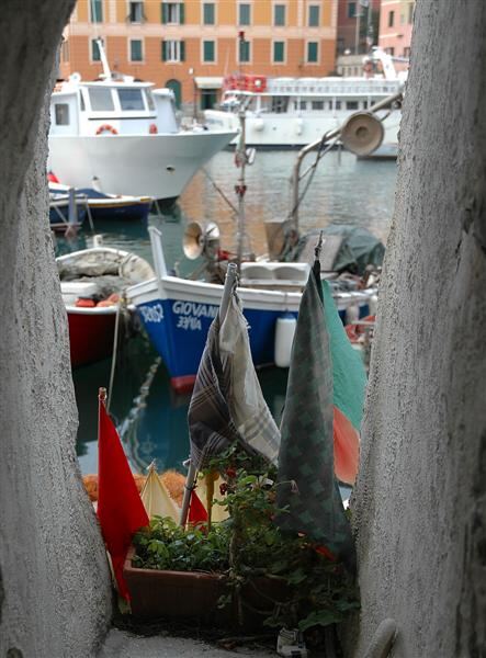 Through a small window