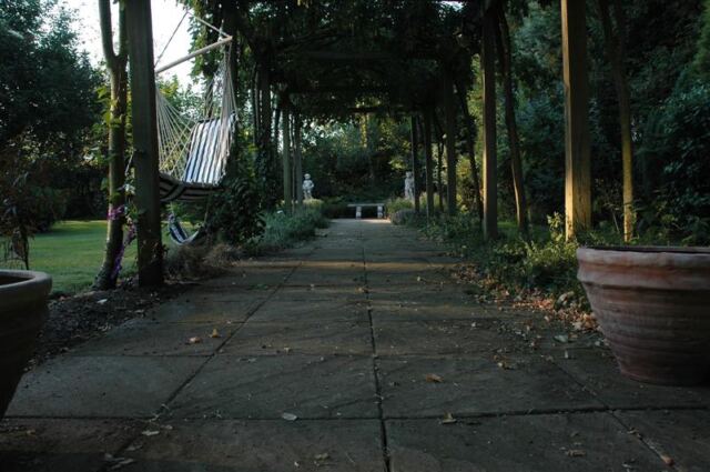 Woodland Cottage - back garden (5)
