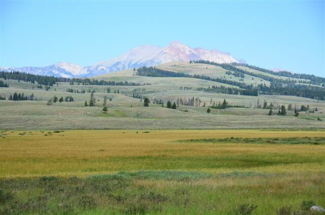 Electric Peak (2)
