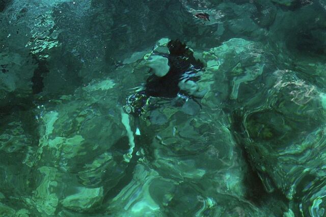 Diving Andrew (6)