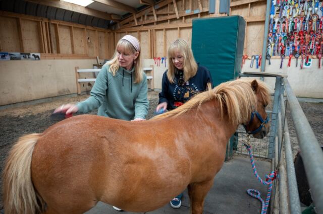 The Shetland Pony Experience 55