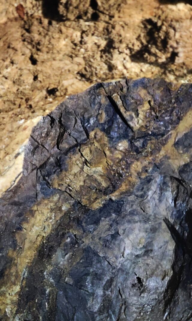 Rich ore veins 4