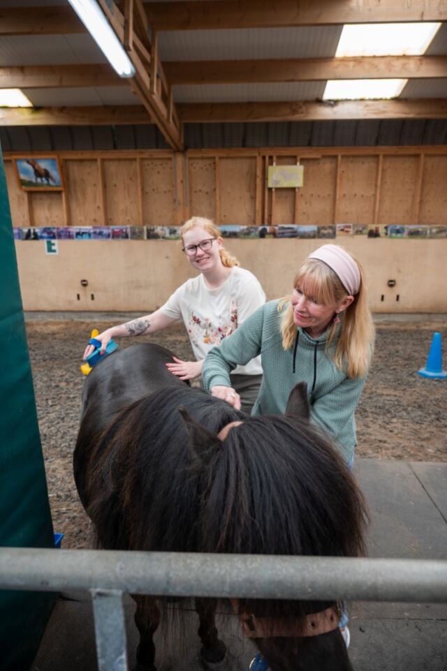 The Shetland Pony Experience 56