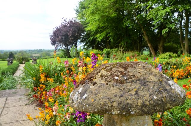 Charingworth mushroom and flowers (1)