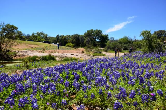Willow Loop valley 24