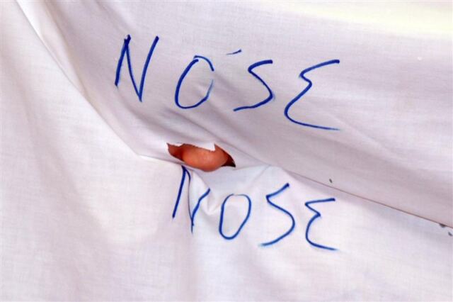 Nose