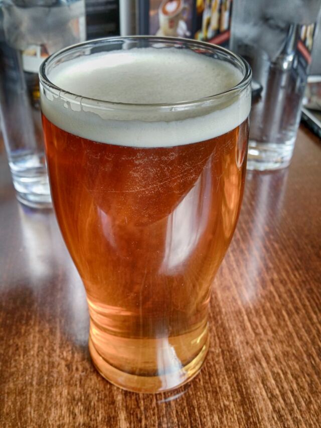The Albert - 1730 Special pale ale