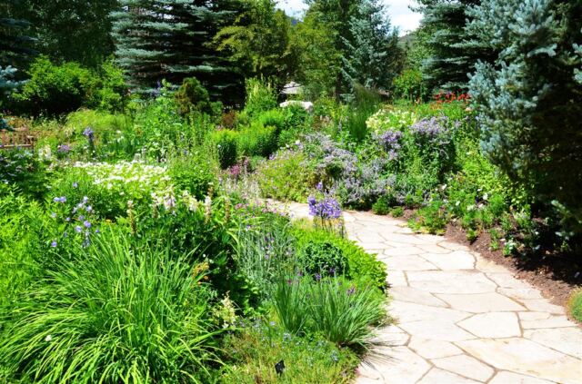 Betty Ford gardens (2)