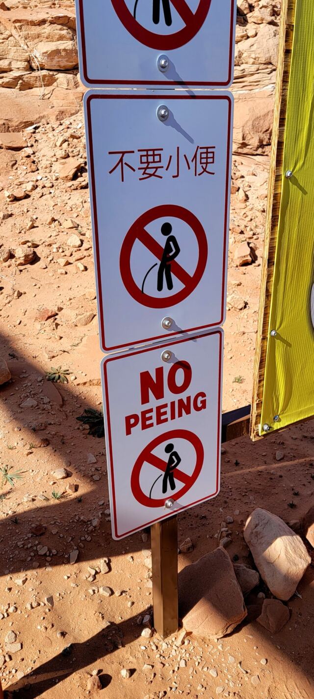 No peeing - seriously