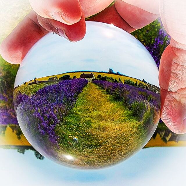 Cotswold Lavender - spherical views (6)