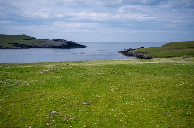 The Shetland Pony Experience 64