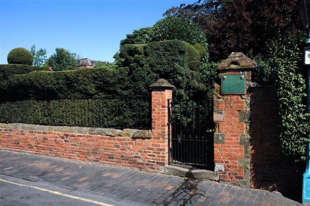 Neatly trimmed hedges