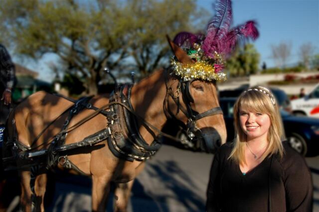 Melanie and Mardi Gras Mule