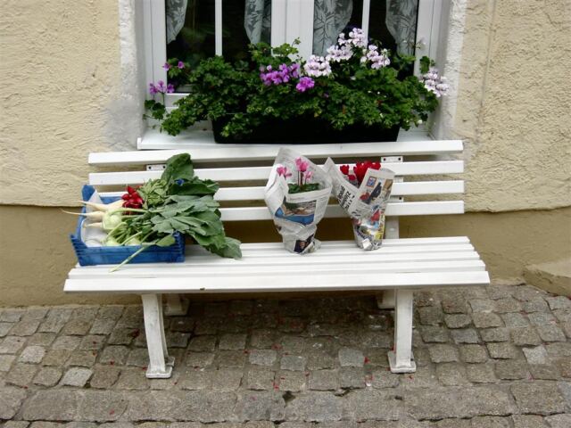 bench-with-vegetables-and-flowers