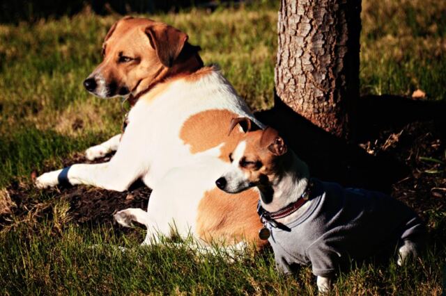 pippa-and-kate-early-morning-sun