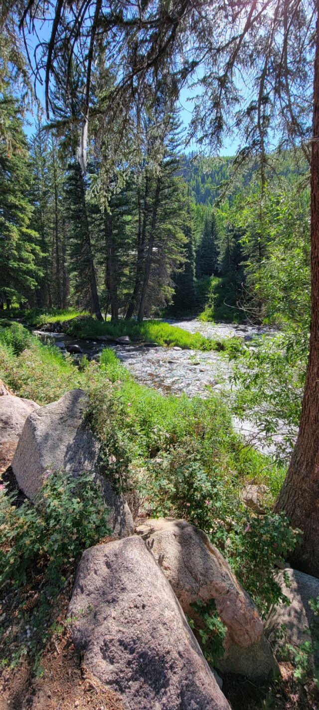 Gore Creek hiking views 06