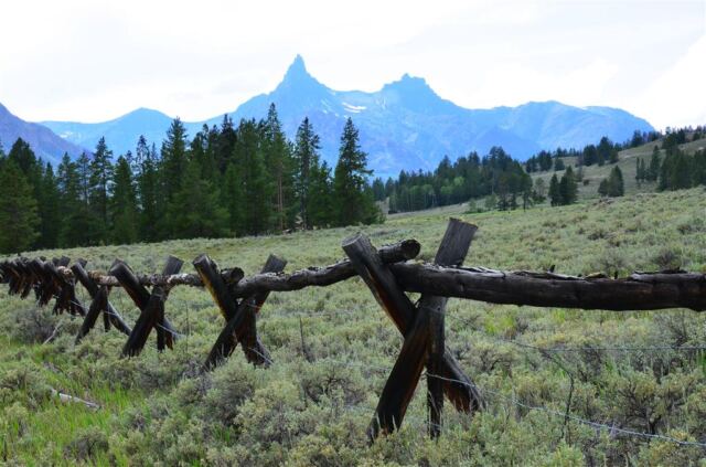 Old fence and Pilot Peak