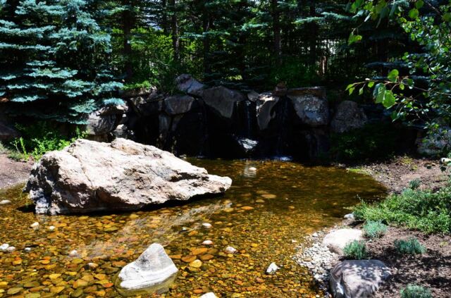 Betty Ford gardens (5)