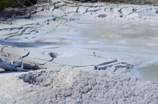 Artists' Paintpots (9)
