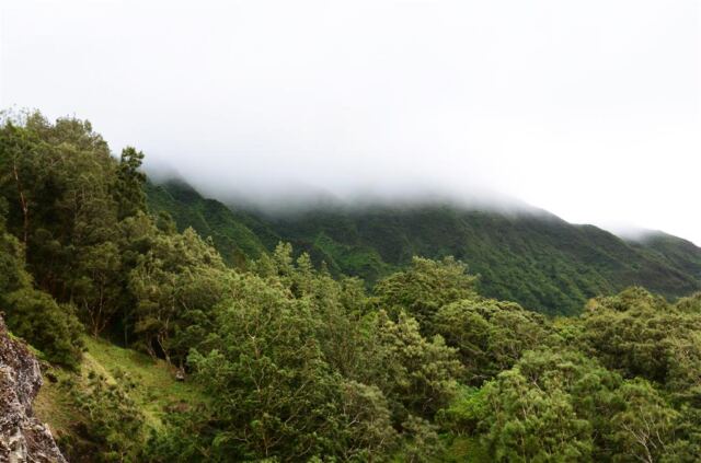 nu-uanu-pali-lookout-10-