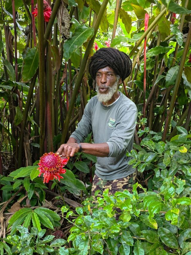 Liamuga Natural Farm tour (30)
