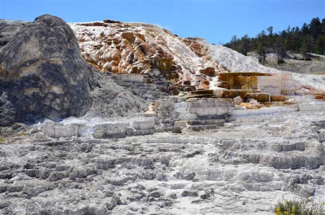Devil's Thumb (Mammoth Hot Springs) (4)